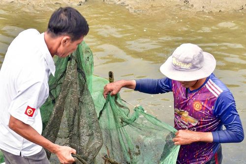 Khả quan công cuộc giảm nghèo của xứ rừng