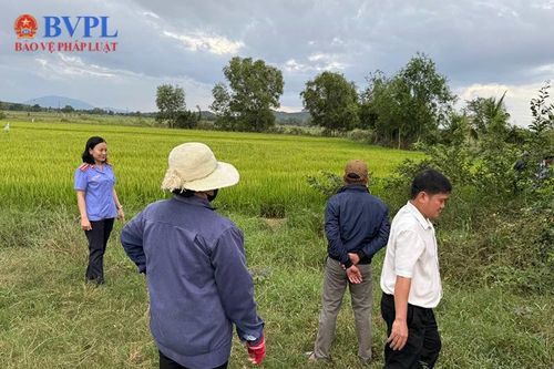 VKSND huyện Hàm Thuận Bắc phối hợp xem xét, thẩm định tại chỗ
