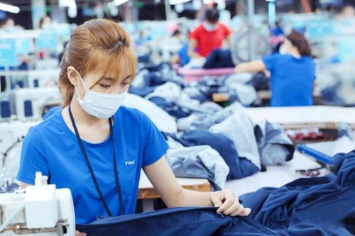 Công ty may mặc có bố là Chủ tịch, con giữ chức CEO báo lãi kỷ lục