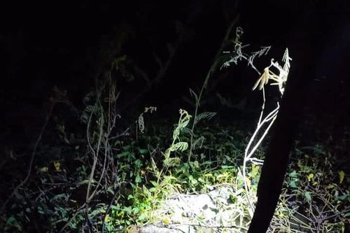 Phát hiện bộ xương người dưới mương nước