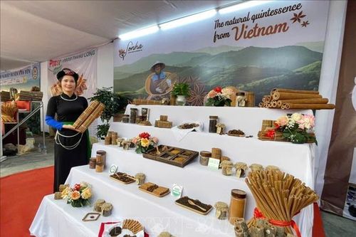 Nhiều hoạt động đặc sắc tại Lễ hội Quế Văn Yên