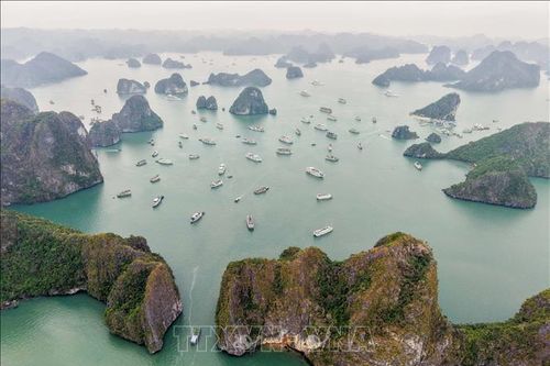Quảng Ninh đẩy mạnh thu hút du lịch tàu biển