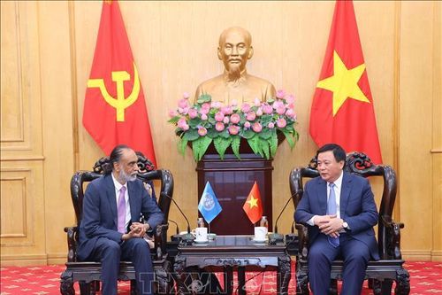 Thúc đẩy hợp tác với LHQ trong nghiên cứu, chia sẻ kinh nghiệm chuyển đổi số, đổi mới sáng tạo