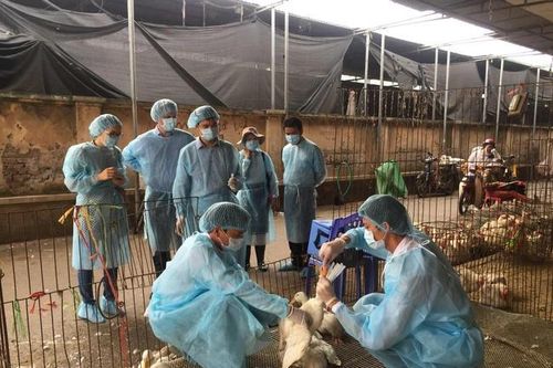 Đề nghị tăng mức hỗ trợ phòng chống dịch