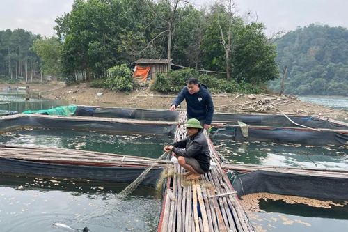 Hùng Việt: Từng bước xây dựng thương hiệu cho sản phẩm cá lăng đen