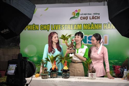 Khai mạc lễ hội hoa kiểng đầu tiên của tỉnh Bến Tre