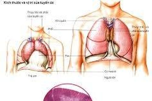 Cần làm gì khi có khối u trên xương ức?