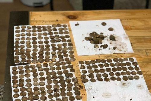 Đào đất, 2 người đàn ông tìm thấy 'kho báu' khổng lồ trên cánh đồng