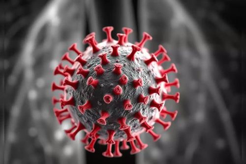 Virus gây bệnh hô hấp như HMPV tiến hóa theo cách nào?