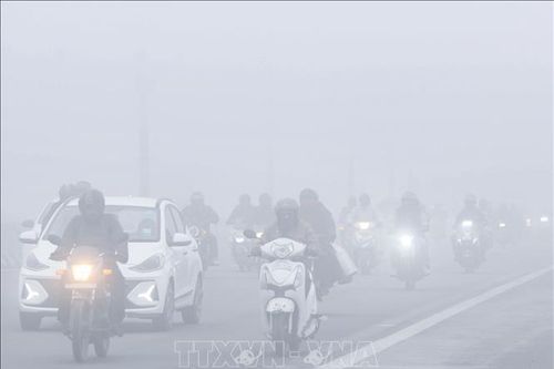 Sương mù cản trở nghiêm trọng giao thông tại Ấn Độ