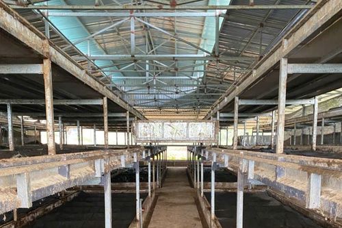 Giải pháp xanh từ trùn quế