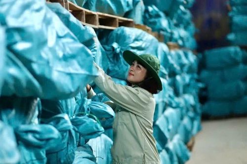 Công ty TNHH MTV Thương mại Nông sản Hải Bình: Liên kết tạo đầu ra cho sản phẩm thạch đen