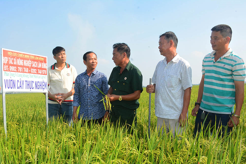 Cựu chiến binh Đỗ Xuân Hưng tâm huyết, nghĩa tình với nông dân