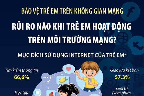 Rủi ro nào khi trẻ em hoạt động trên môi trường mạng?