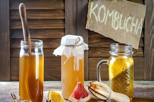 Uống kombucha mỗi ngày có tác dụng gì với cơ thể?