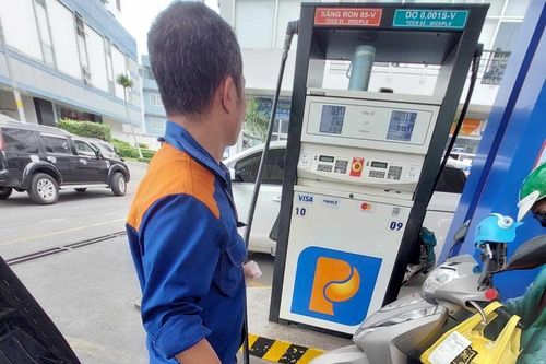 TP. Hồ Chí Minh đề nghị khuyến khích doanh nghiệp đẩy mạnh tiêu thụ xăng sinh học