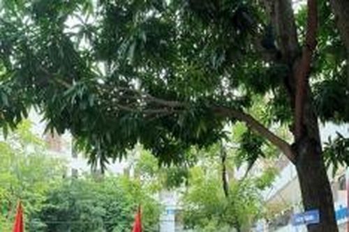 Thưởng Tết giáo viên: Động lực và sự ghi nhận đối với người thầy