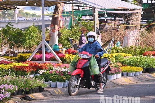 Sôi động những ngày cận Tết