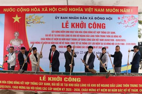 Đầu tư xây dựng khu trồng cây xanh, bãi đỗ xe trên 13.000m2 tại Đông Anh