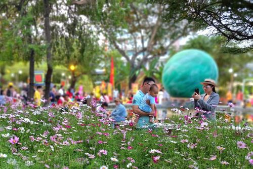 Khi Tết vào nhà