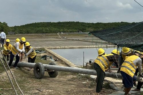 Niềm vui được cấp điện lưới quốc gia: Chuyện ở một xã đảo của TP.HCM