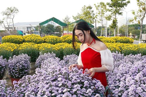 Rực sắc hoa xuân