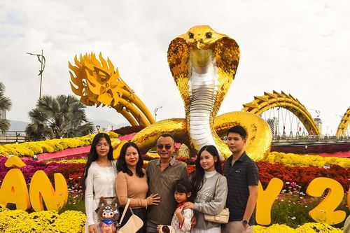 Tấp nập du khách tham quan đường hoa Bạch Đằng