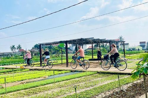 Làng nông nghiệp 'hút' khách quốc tế