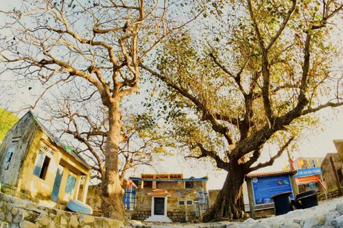 Sắc xuân bên đình làng biển
