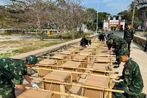 Bà Rịa - Vũng Tàu: Các trận địa pháo hoa đã sẵn sàng