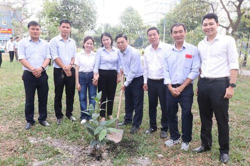 Ký túc xá ĐHQG TP. HCM hưởng ứng 'Tết trồng cây' Xuân Ất Tỵ