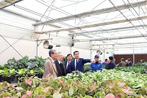Sắp diễn ra Lễ hội Hoa - Sinh Vật Cảnh Supe Lâm Thao lần thứ Nhất - Xuân Ất Tỵ 2025