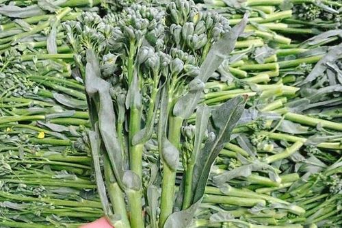 Giá rau xanh rẻ như cho sau Tết