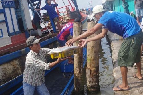 Ngư dân Cà Mau bội thu với chuyến đi biển mở hàng đầu năm