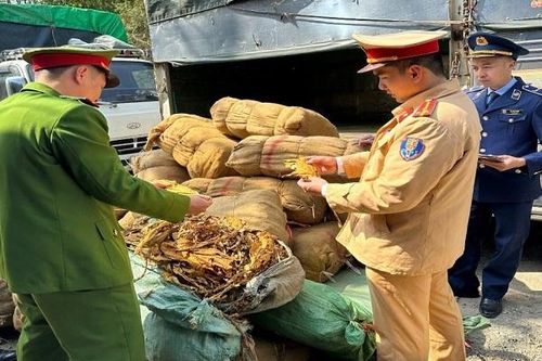 Phát hiện gần 3 tấn lá cây thuốc lá sấy khô không rõ nguồn gốc
