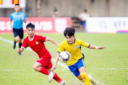 Lịch thi đấu Giải bóng đá U19 quốc gia 2024-2025