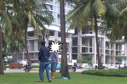 Nhắm mắt lại xoay vào cây!