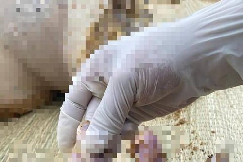 Phát hiện thi thể mất đầu nghi bị sát hại
