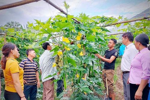 Nêu cao tinh thần trách nhiệm, gương mẫu của người đứng đầu