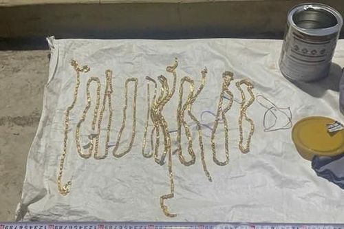 Vụ cướp tiệm vàng ở Lâm Đồng: Thu giữ số vàng đối tượng chôn giấu trong vườn cà phê