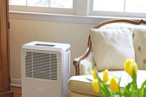 5 điều cần lưu ý khi tìm mua máy hút ẩm vào mùa nồm ẩm