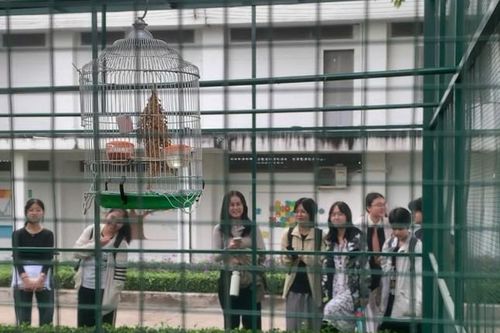 Sinh viên trường ĐH KHXH&NV (ĐHQG TP. HCM) mê tít với 'vườn thú nhỏ' trong khuôn viên trường