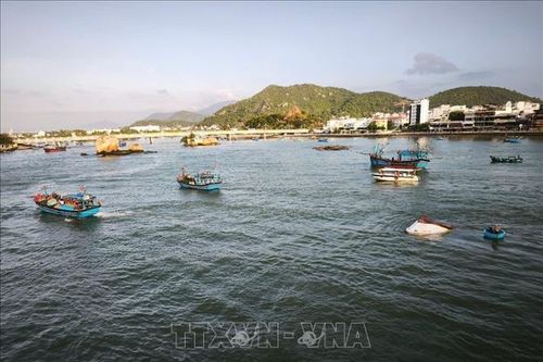 Tìm thấy thi thể ngư dân cuối cùng trong vụ tàu cá bị sóng lớn đánh chìm ở Nha Trang