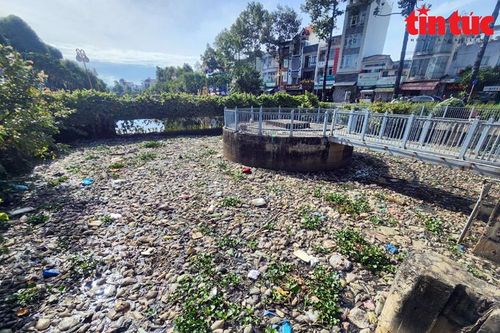 TP Hồ Chí Minh: Hàng loạt kênh, rạch ngập rác thải, bốc mùi hôi thối