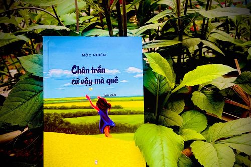 Những thao thức gửi về ký ức…
