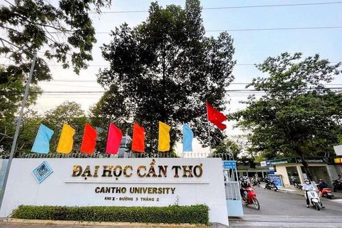 Đại học Cần Thơ mở cổng đăng ký dự Kỳ thi V-SAT từ ngày 24/2