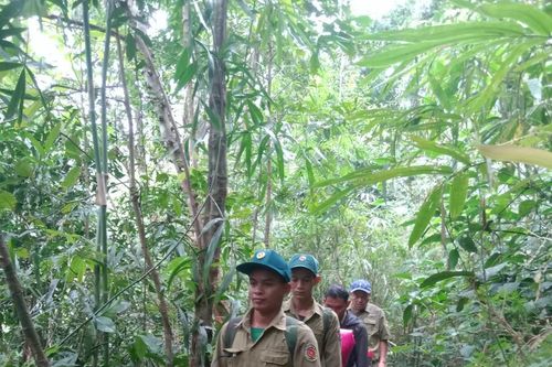 Khánh Sơn: Năm 2025, giao khoán gần 6.260ha rừng tự nhiên cho 222 hộ dân bảo vệ