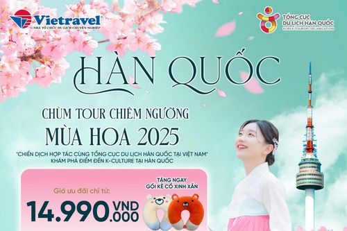 Chùm tour Hàn Quốc ngắm hoa anh đào đặc biệt từ Vietravel Khánh Hòa