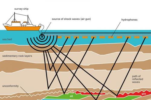 Phân tích thị trường Thiết bị Địa chấn và Giải pháp Thu thập Dữ liệu Dầu khí ngoài khơi