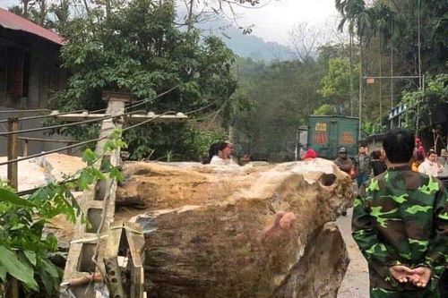 Đá trên núi lăn trúng nhà lúc nửa đêm, hai vợ chồng thoát chết trong gang tấc